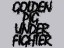 GOLDEN PIG  UNDER FIGHTER