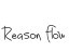 REASON FLOW