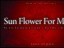 Sun Flower For Mody