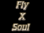 Fly X Soul