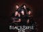BLACKROSE