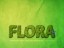 FLORA 