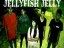 JELLYFISH JELLY