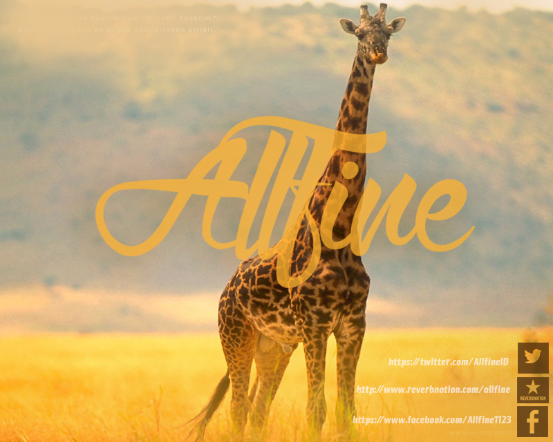 Allfine