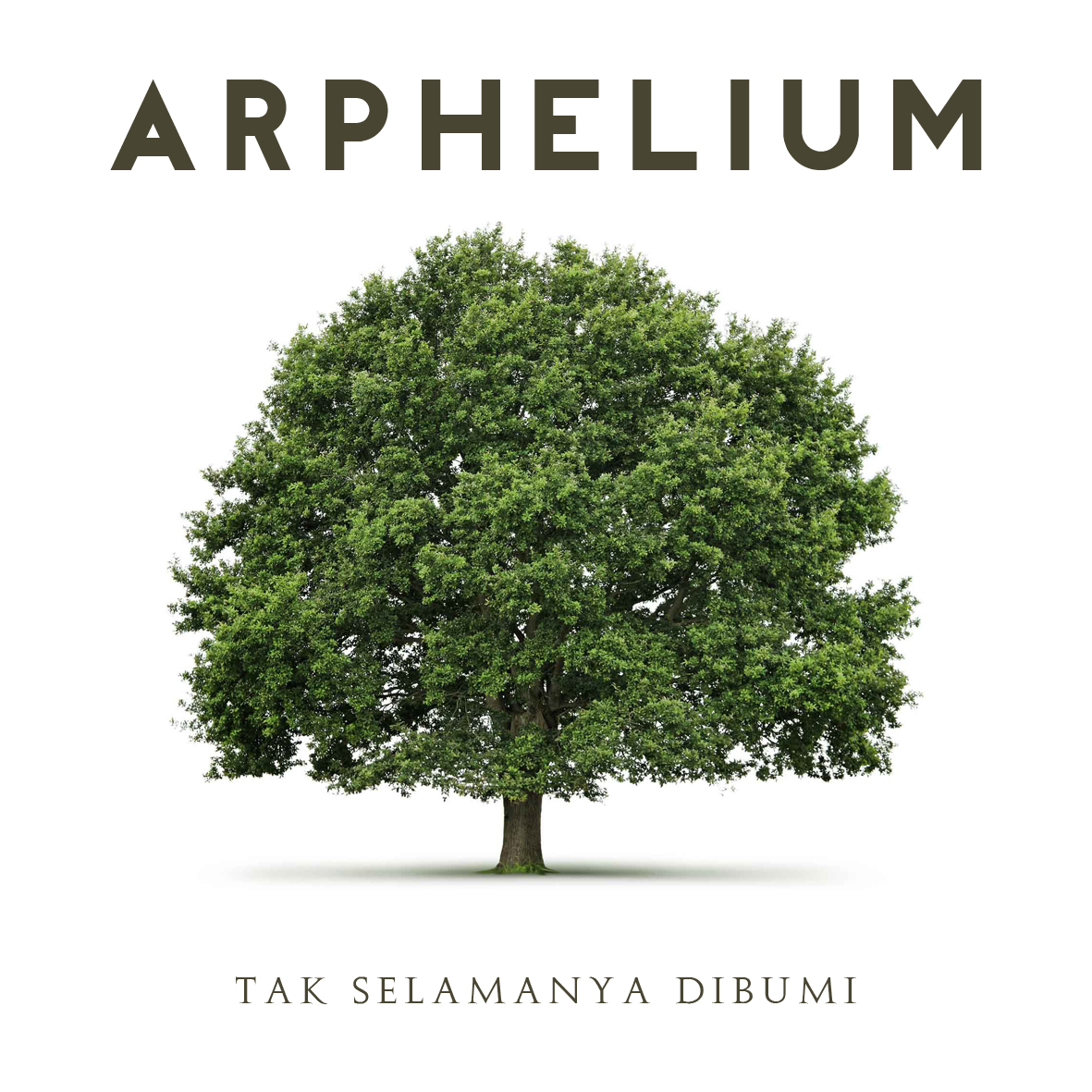Arphelium